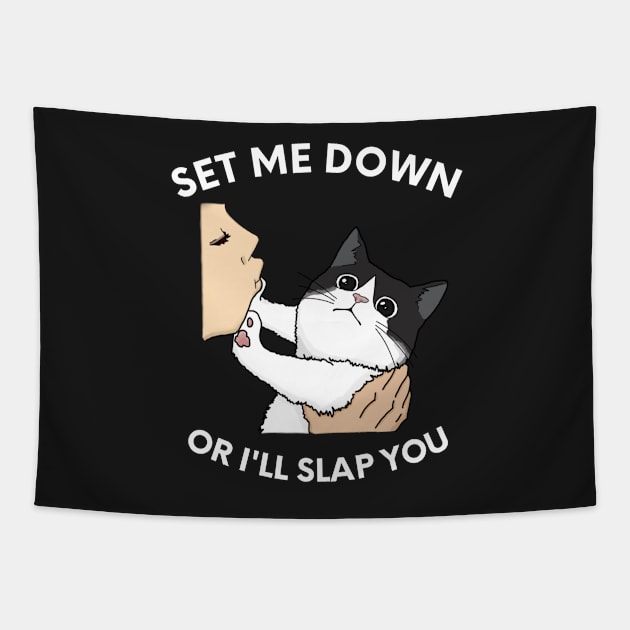 Set Me Down Or I'll Slap You Black and White Cat, Chonk Slap Funny Design Tapestry by ThatVibe