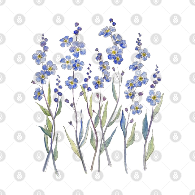 Blue Forget Me Not Bloom by JessicaRose