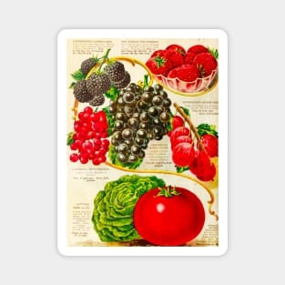 Vintage Seed Store Catalogue Magnet