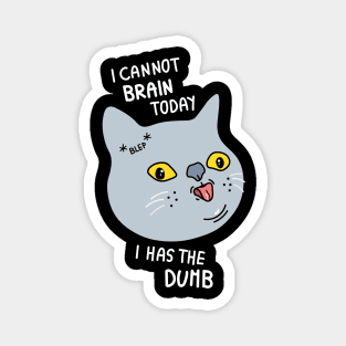 I cannot brain today I has the dumb Magnet