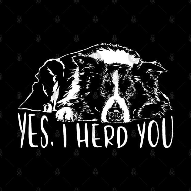 Border Collie I herd you herding dog saying by wilsigns