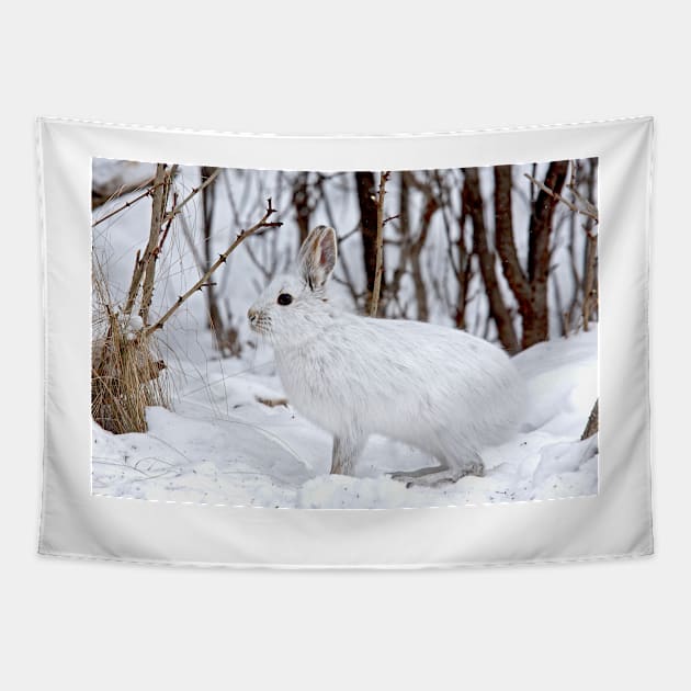 Snowshoe Hare Tapestry by Jim Cumming