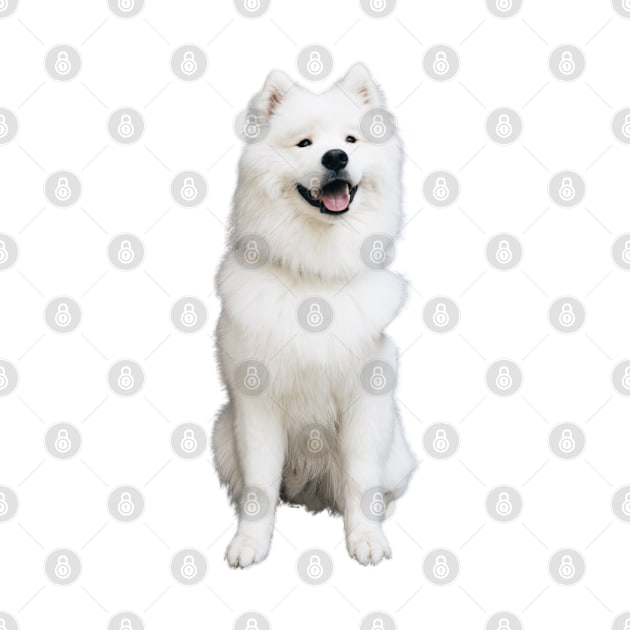 Good Boi (Samoyed) by Dr. Rob's Mean Meme Machine