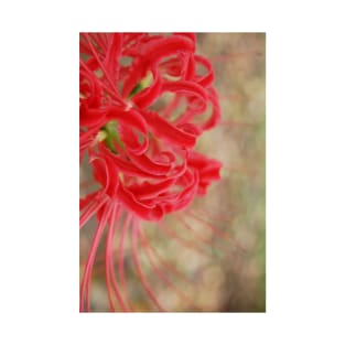 Vibrant Red T-Shirt