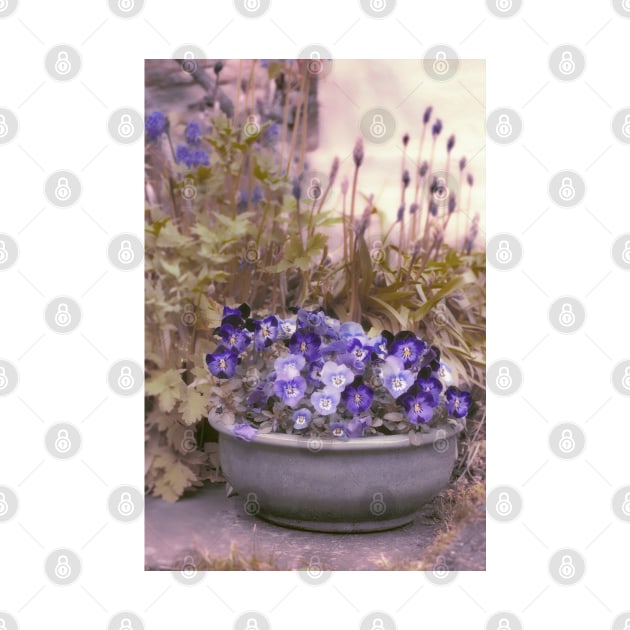 Violets by ElderIslesPress