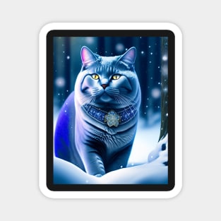Mystical Feline: British Shorthair Cat Captivates with Its Magical Charm Magnet
