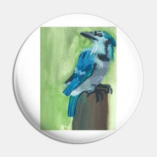 Blue Jay Watercolor Pin