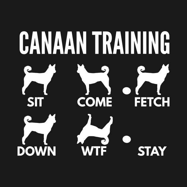 Canaan Dog Training Bedouin Sheepdog Tricks by DoggyStyles