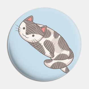 Lazy Cat Pin