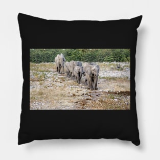 Elephants in a line. Pillow