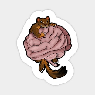 Brainweasel Magnet