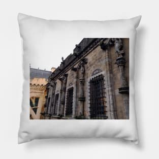 Stirling Castle Side Elevation Pillow