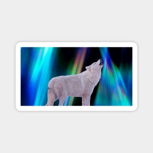 Aurora Borealis Wolf Song Magnet