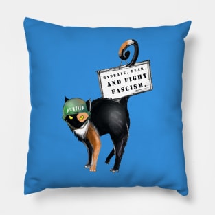 Hydrate, Dear And Fight Fascism Pillow