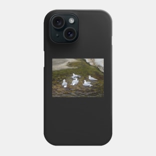 Dee Why Gulls Swimming Phone Case