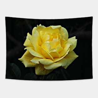 Yellow Rose Flower on Branch Tapestry