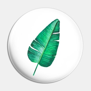 Tropical Banana leaf watercolor illustration Pin