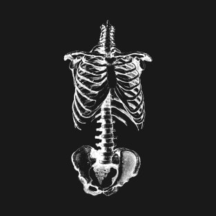 Skeleton drawing of ribs torso and pelvis T-Shirt