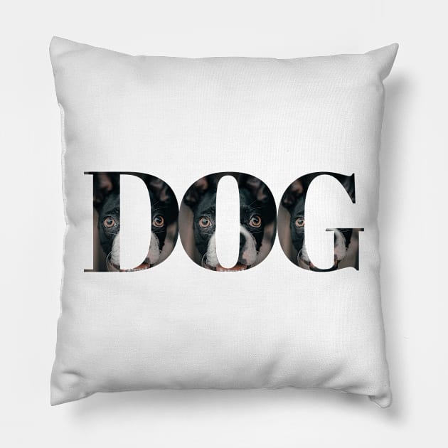 Dog is my pet Pillow by Kugy's blessing