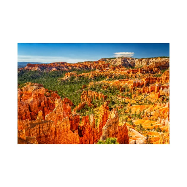 Bryce Canyon National Park by Gestalt Imagery