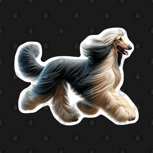 Afghan Hound by millersye