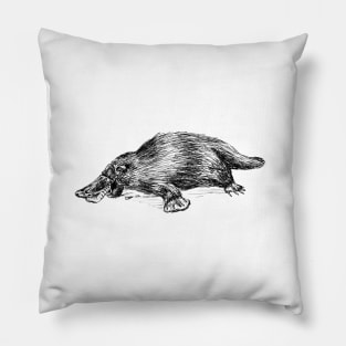 Platypus Illustration Pillow