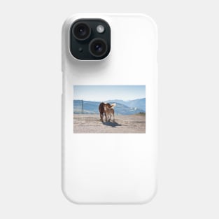 Foal and Mare Phone Case