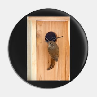 Wren Pin