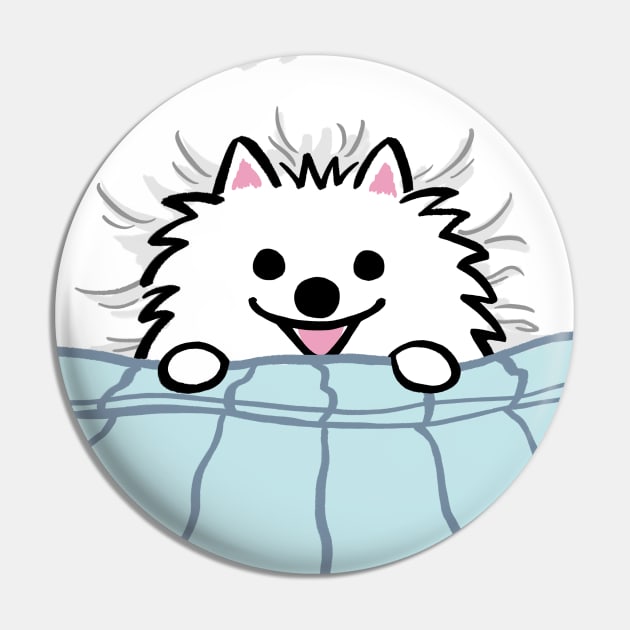 Cute White Pomeranian Tucked in Bed Pin by Coffee Squirrel