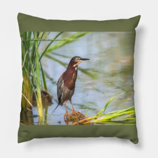 Green Heron Standing Tall Pillow