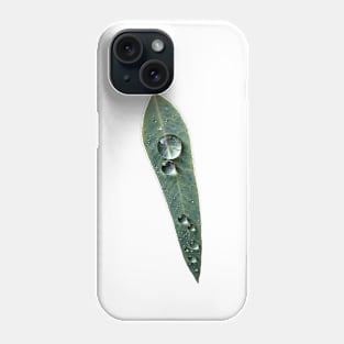 Leaf with Tropical Rain Drop Phone Case