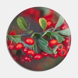 Berries Pin