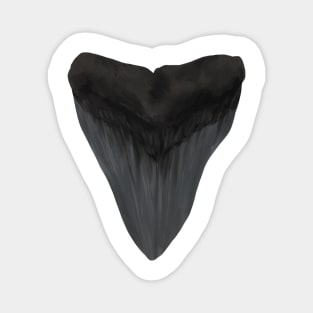 Megalodon Shark Tooth Magnet