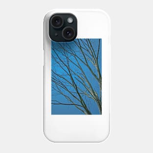 Blue Sky Beyond the Winter Trees Phone Case