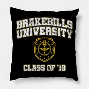 Brakebills University Class of '18 Pillow