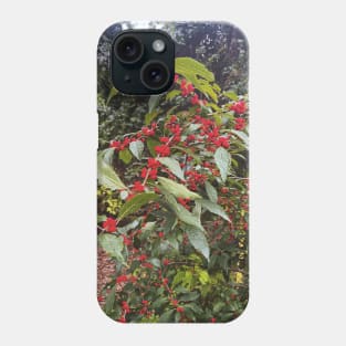 Late September Morning New England Nature Walk - winterberries Phone Case