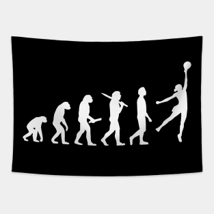 Funny Volleyball Evolution Gift For Volleyball Players Tapestry