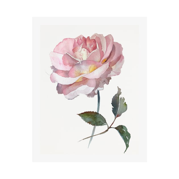 Pink delicate rose hand painted watercolour by Leanne by LeanneTalbot