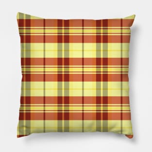 Sunset and Sunrise Aesthetic Arable 1 Hand Drawn Textured Plaid Pattern Pillow