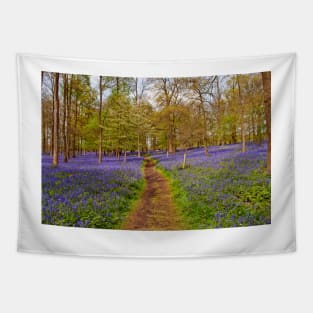 Bluebell Woods Greys Court Oxfordshire UK Tapestry