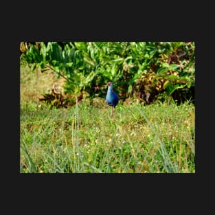 Purple Swamphen Eating T-Shirt