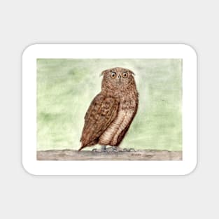 Owl spirit animal Magnet