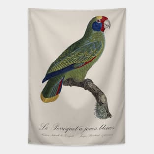 Red-Tailed Amazon Parrot / Le Perroquet a Joues Bleues - 19th century Jacques Barraband Illustration Tapestry