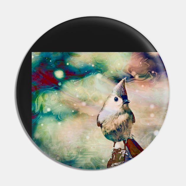 "Songbird & Fairy Lights" Pin by Colette22