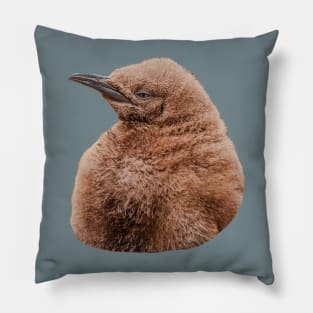 Cute baby King Penguin Pillow