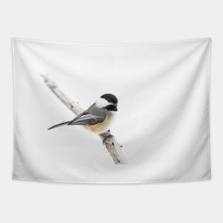 Algonquin Chickadee Tapestry