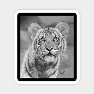 TIGER CUB Illustration Magnet