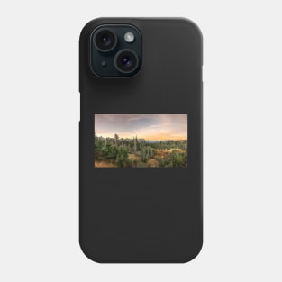 Rainier National Park Panoramic Phone Case