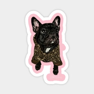 French Bull Dog Fashion Forward Magnet