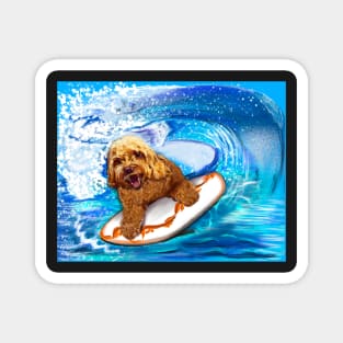 Cavapoo surfing puppy dog #002   - cavalier king charles spaniel poodleq, puppy love Magnet